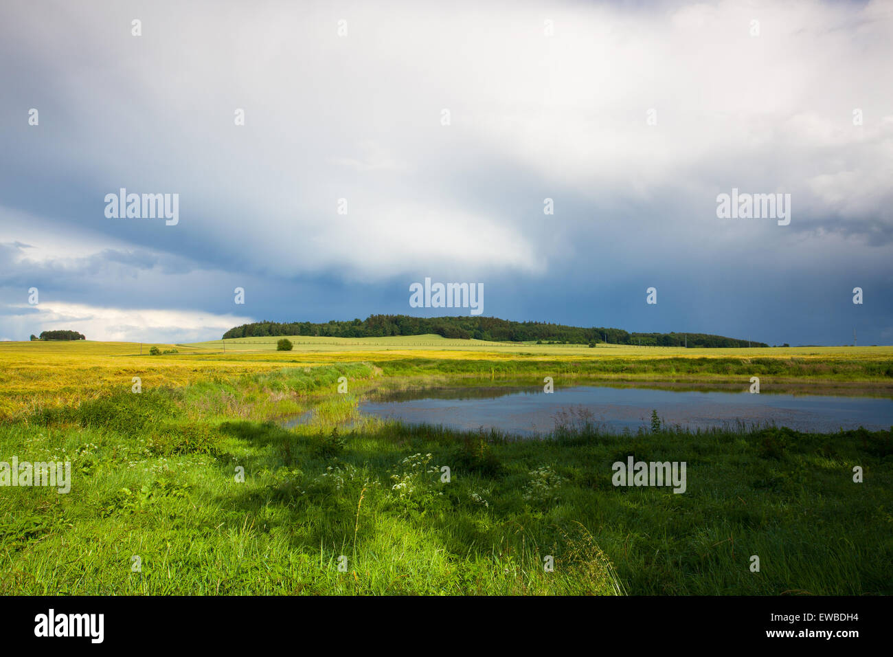 Harvest time - summer landscape after heavy storm Stock Photo - Alamy