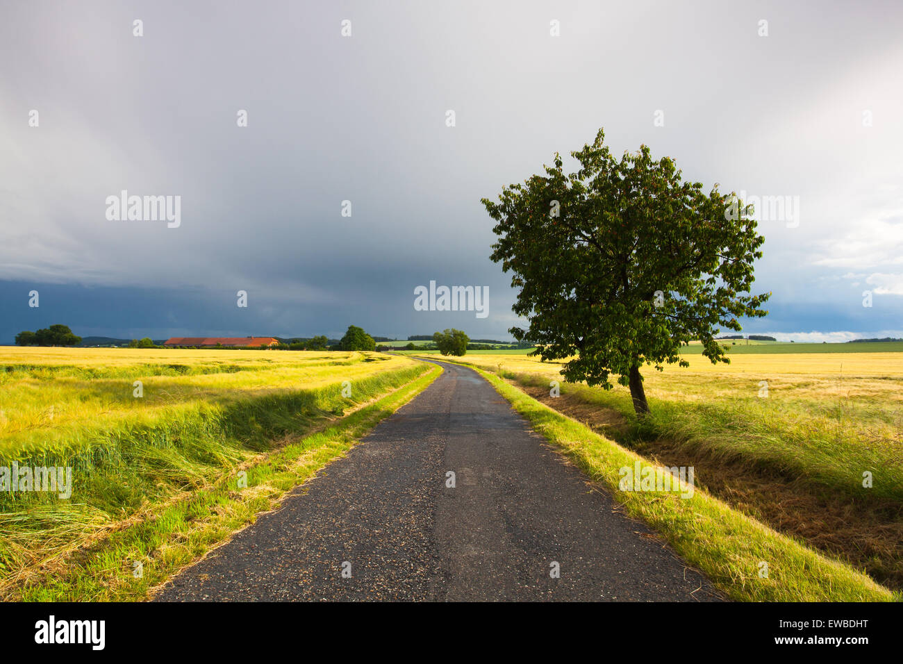 Landscape after heavy storm hi-res stock photography and images - Alamy