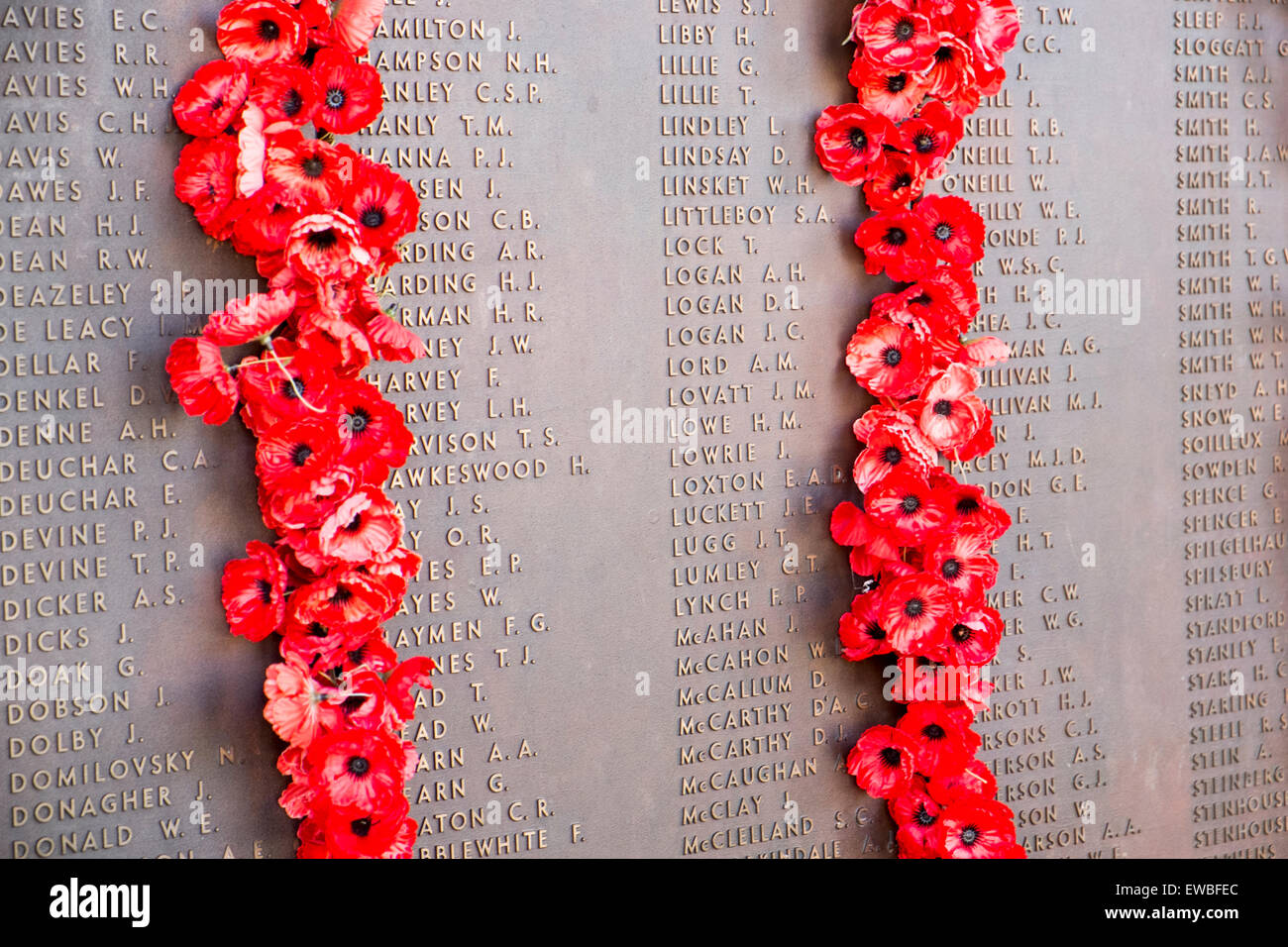 Roll of Honour with Poppies and names of soldiers who perished in various wars at the Australian War Memorial in Canberra, ACT Stock Photo