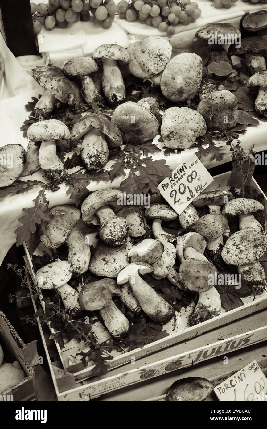 Porcini italy hires stock photography and images Alamy