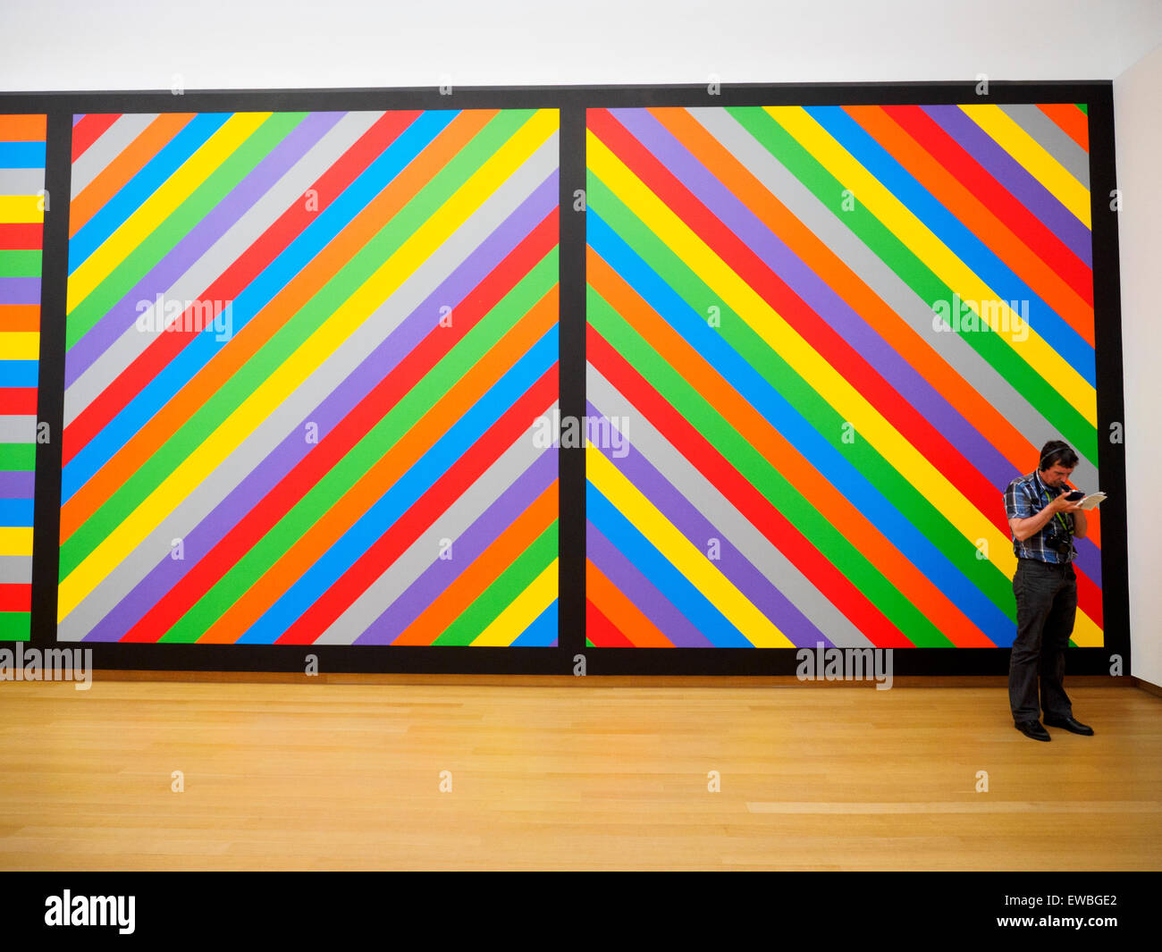 Sol Lewitt (Hatford, CT (US), 1928 - New York, Ny (US) 2007 Wall Dawing #1084, 2003 first drawn by Asmir Ademagic and Wim Starkenburg Acrylic on wall Stedelijk Museum - Amsterdam, Netherlands Stock Photo