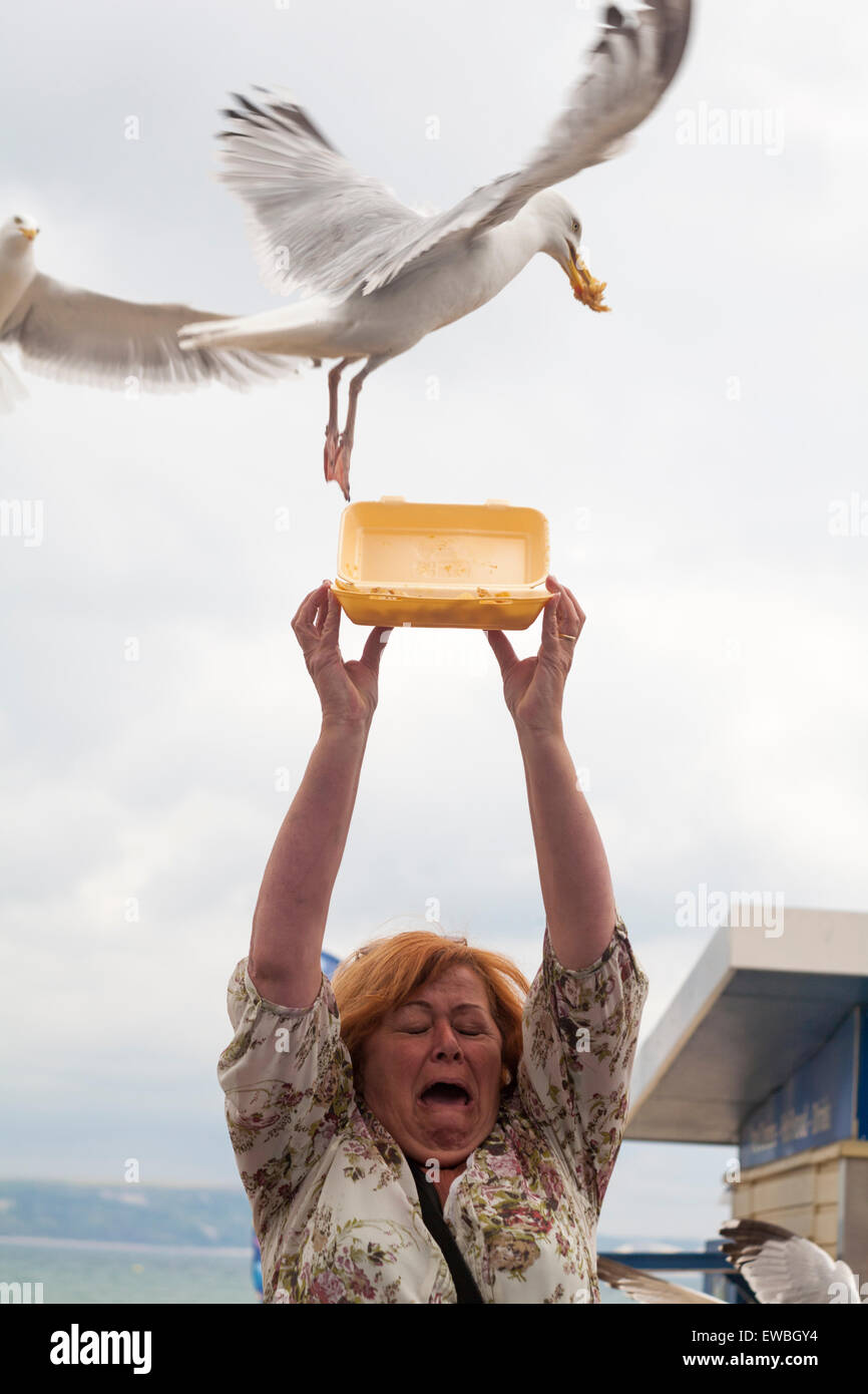 Seagull chips hi-res stock photography and images - Alamy