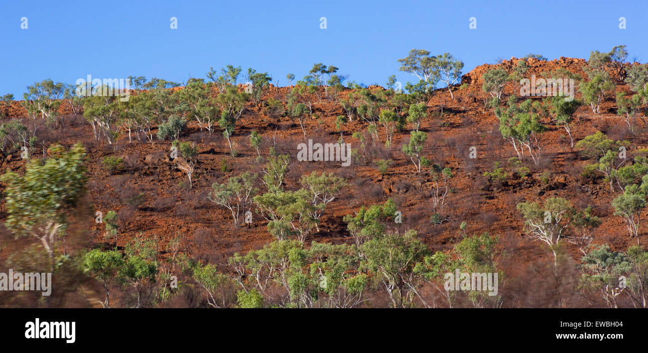 Dry rocky hillside with scattered trees near Mount Isa, Queensland, Australia Stock Photo