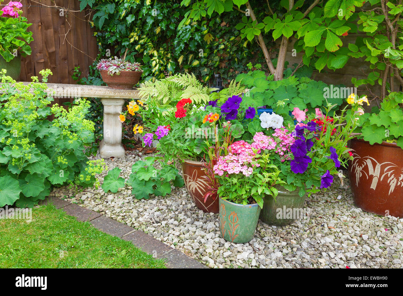 Shady corner of a garden with containers full of colorful flowers Stock