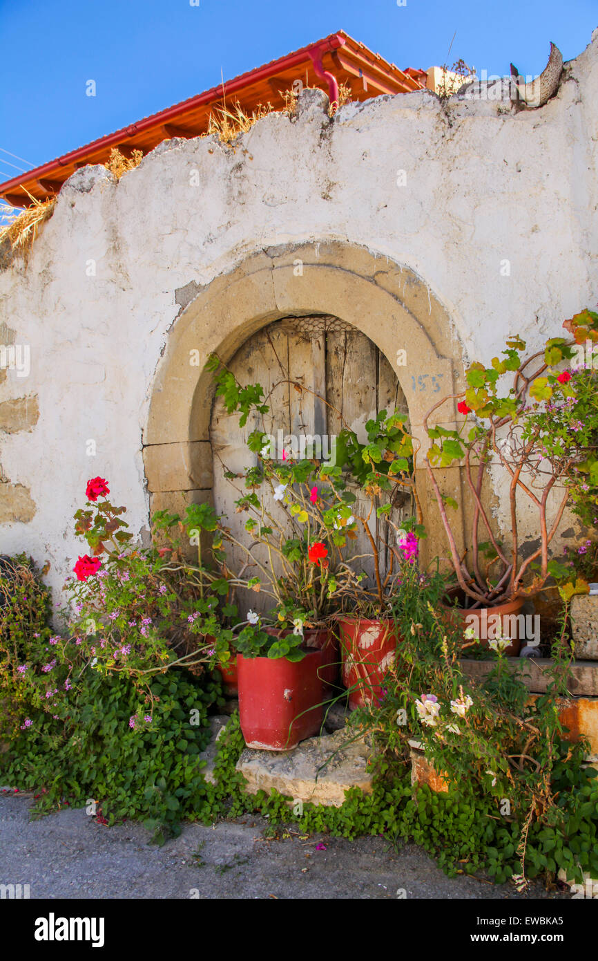 Old wall with pots and plants and colorful flowers Stock Photo - Alamy