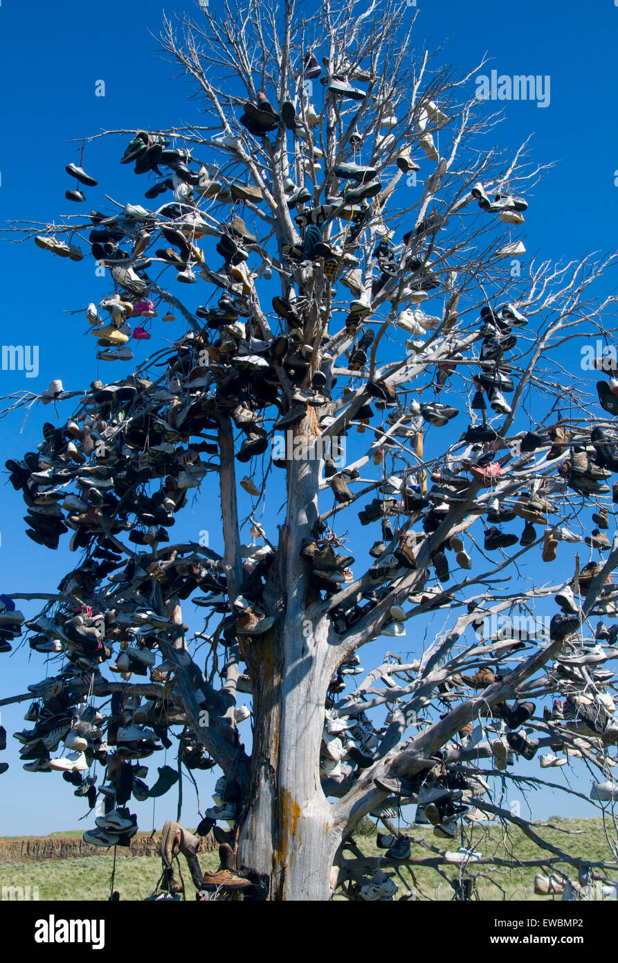Shoe tree, Wasco County, Journey through Time National Scenic Byway