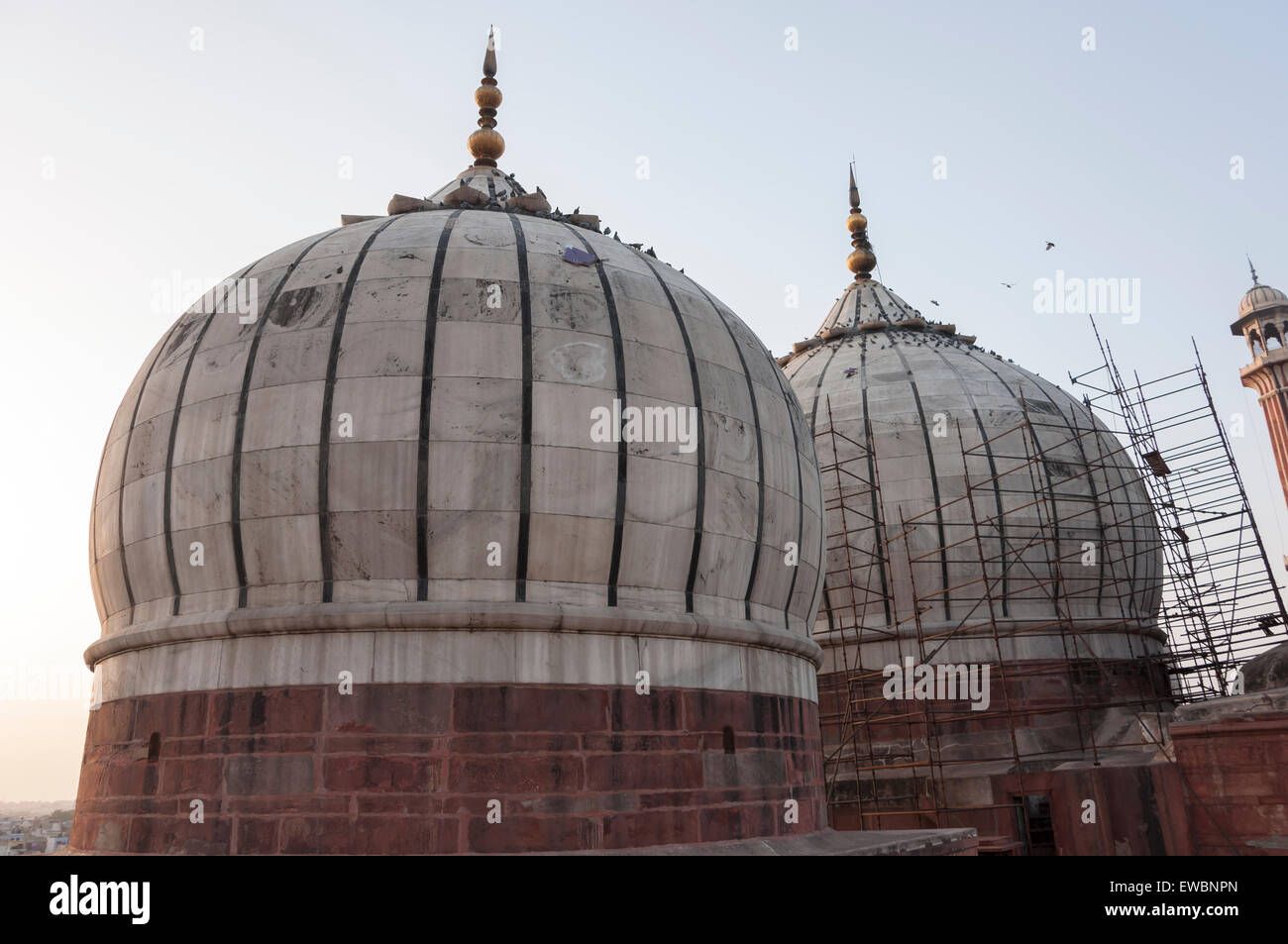 Domes at the Jama Masjid mosque in old Delhi, India. Stock Photo