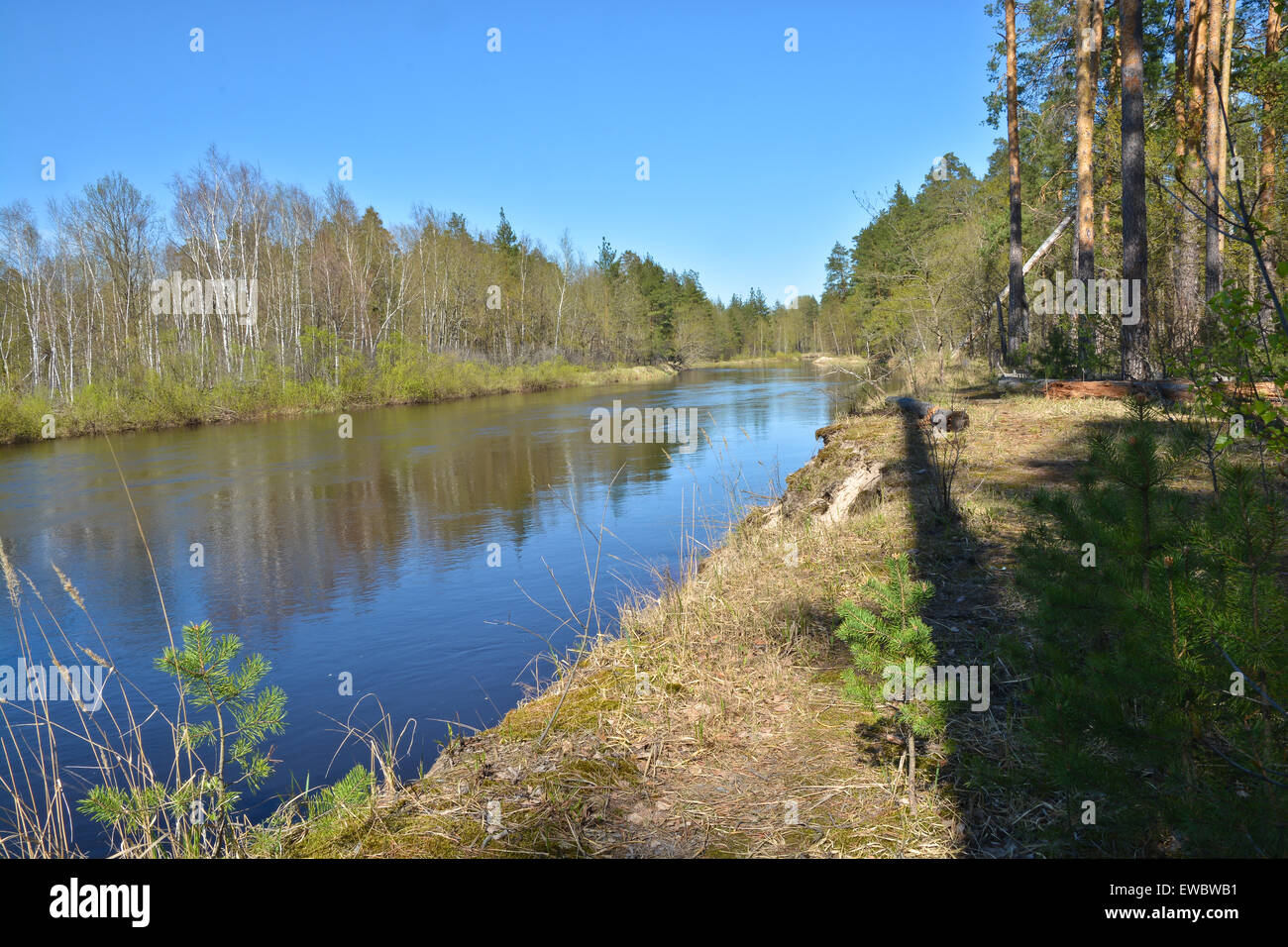 Landscape in may on river conservation in the national Park Meschera in ...