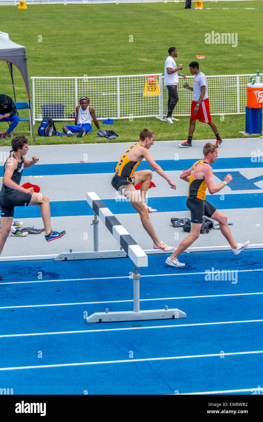 Steeplechase race men at the Kentucky Relays. This was held at the