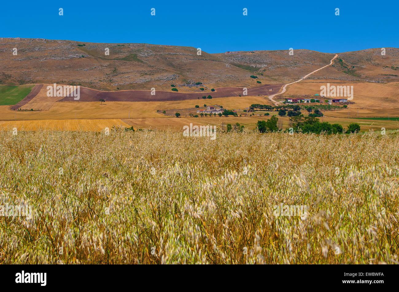 Apulia Country Italy Apulia Country in Province of Bari Stock Photo - Alamy