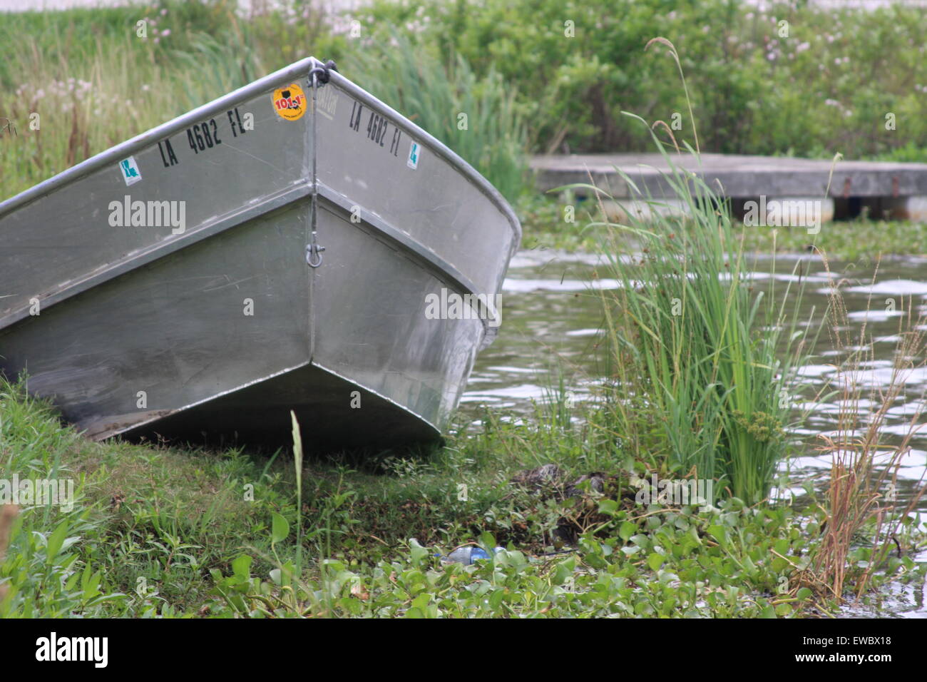 Bayou louisiana hi-res stock photography and images - Alamy