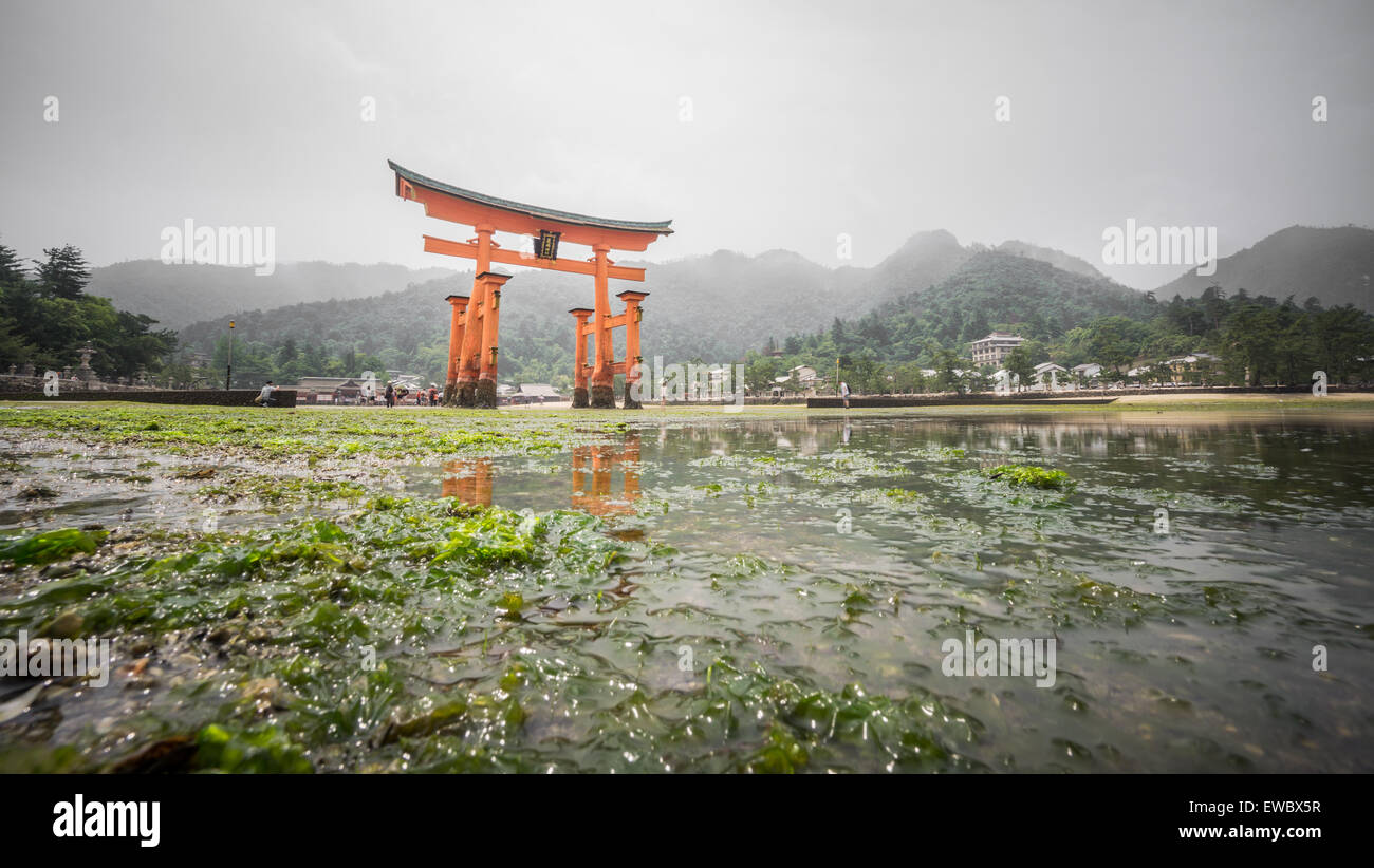 Miyajima, The famous Floating Torii gate, low tide, Japan Stock Photo