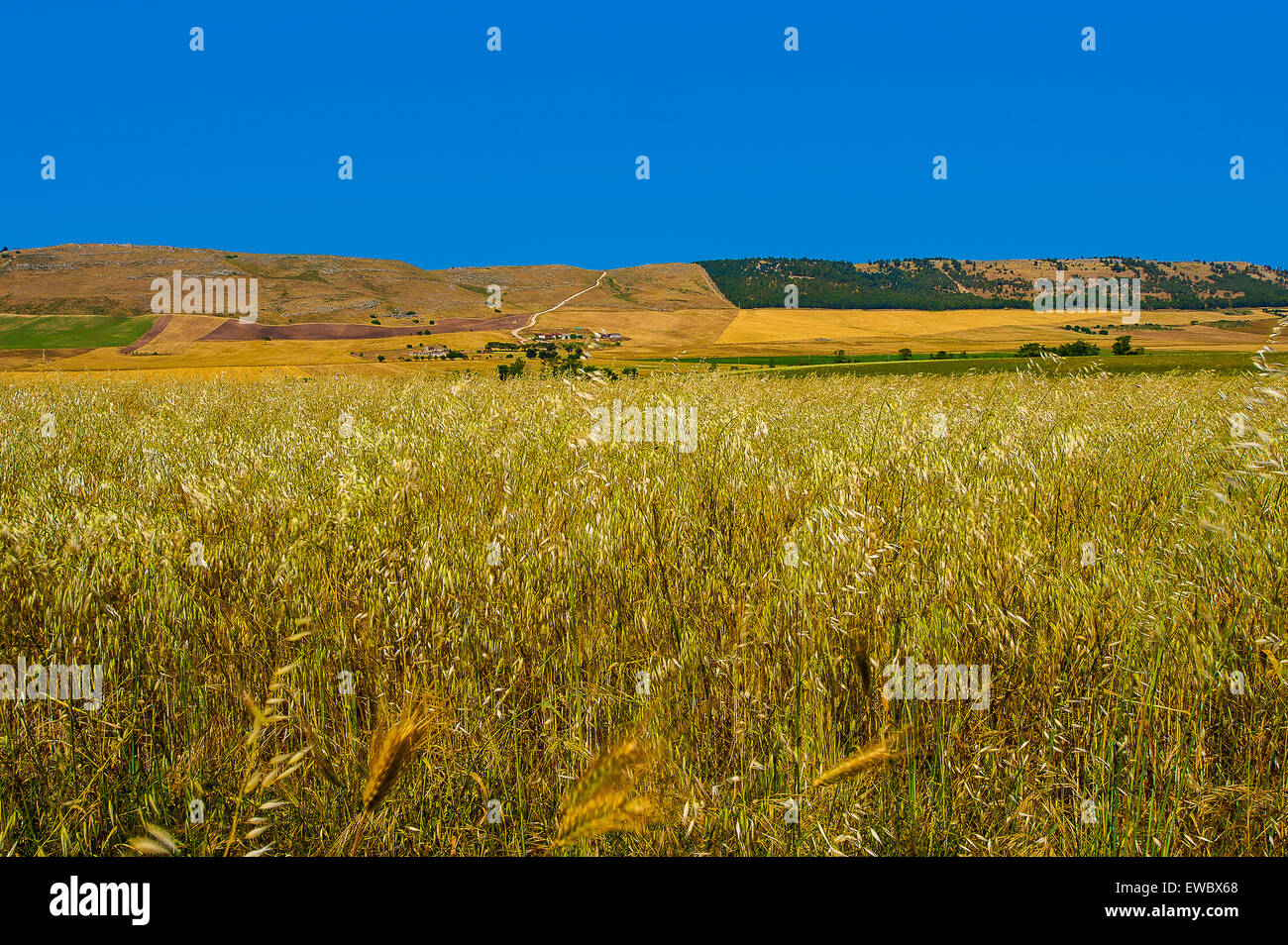 Apulia Country Italy Apulia Country in Province of Bari Stock Photo - Alamy
