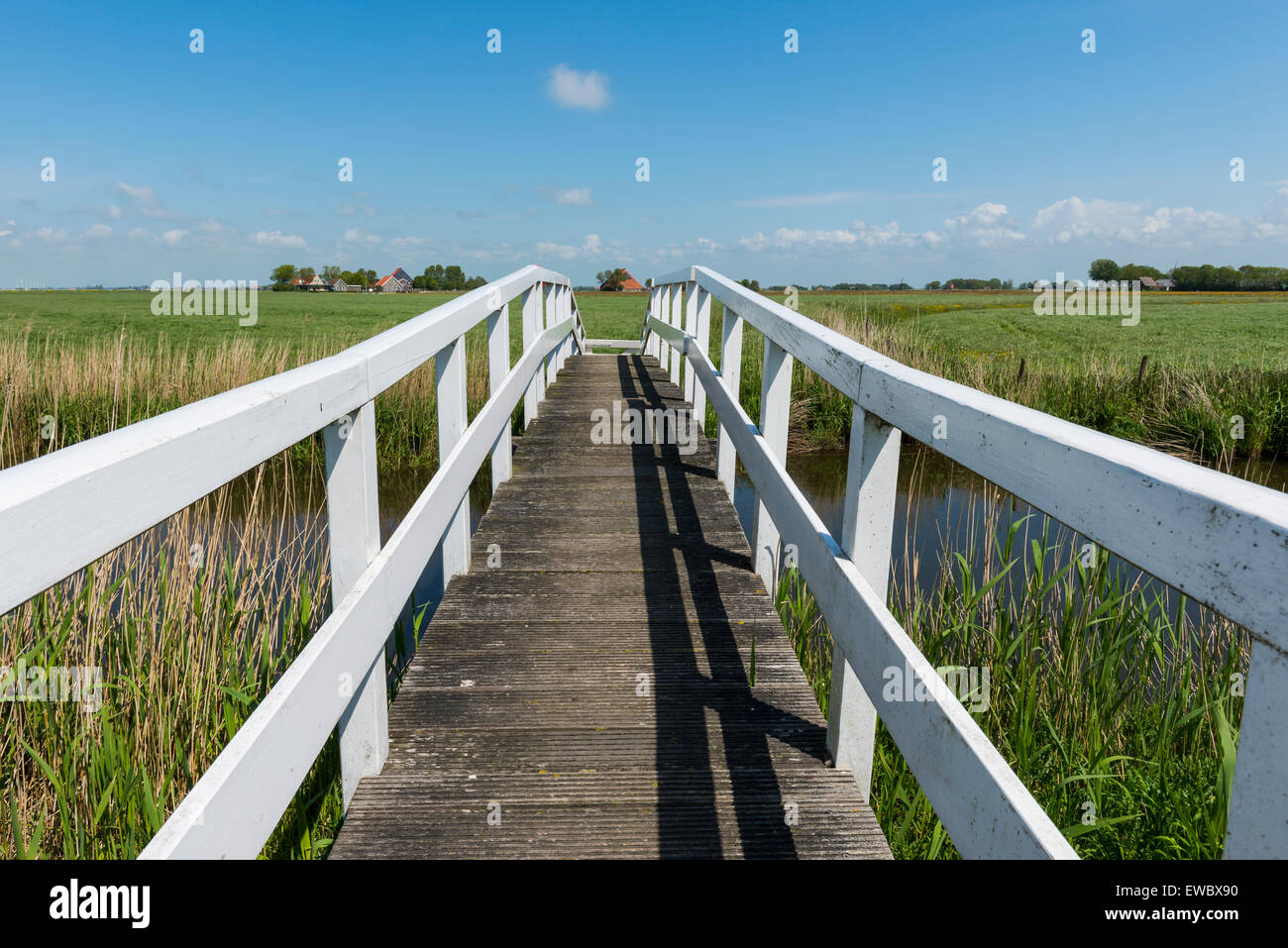 Picturesque white bridge for hikers at Workum in summer in province Friesland near Lemmer, The Netherlands, image Daan Kloeg, Co Stock Photo