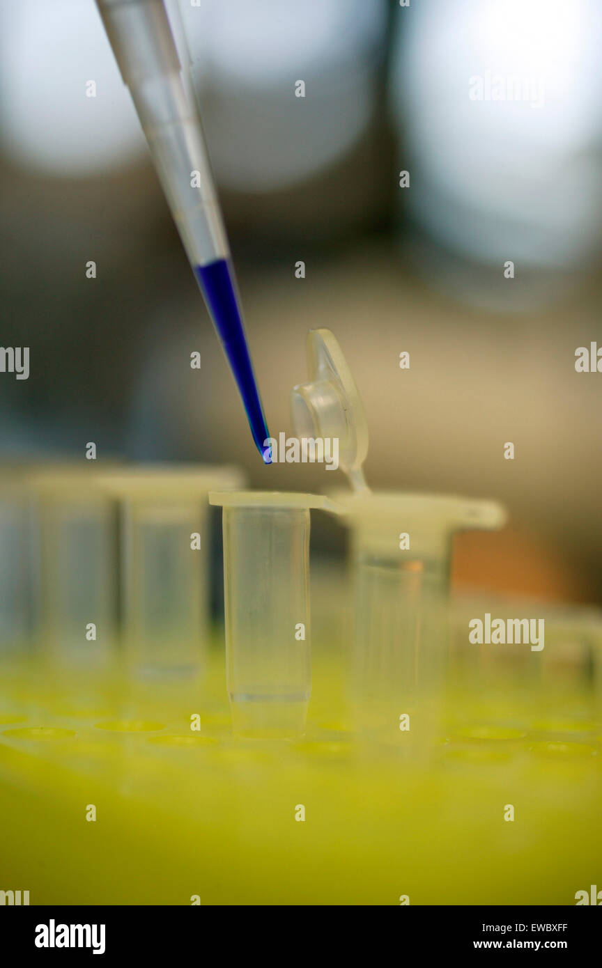 Detail shot of lab tubes Stock Photo Alamy