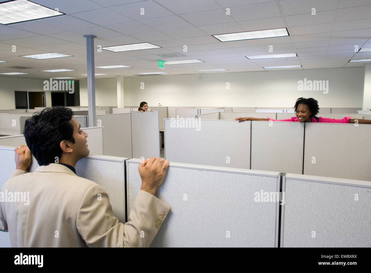 Office workers talk over cubicle walls Stock Photo Alamy
