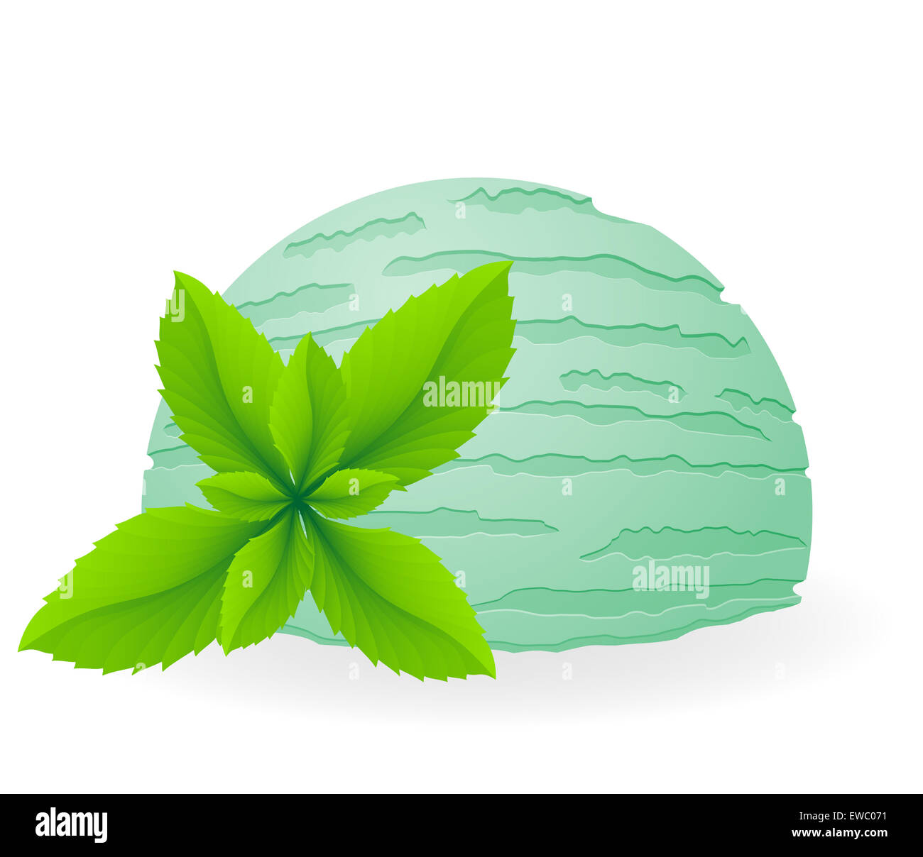 ice cream vector illustration isolated on white background Stock Photo ...