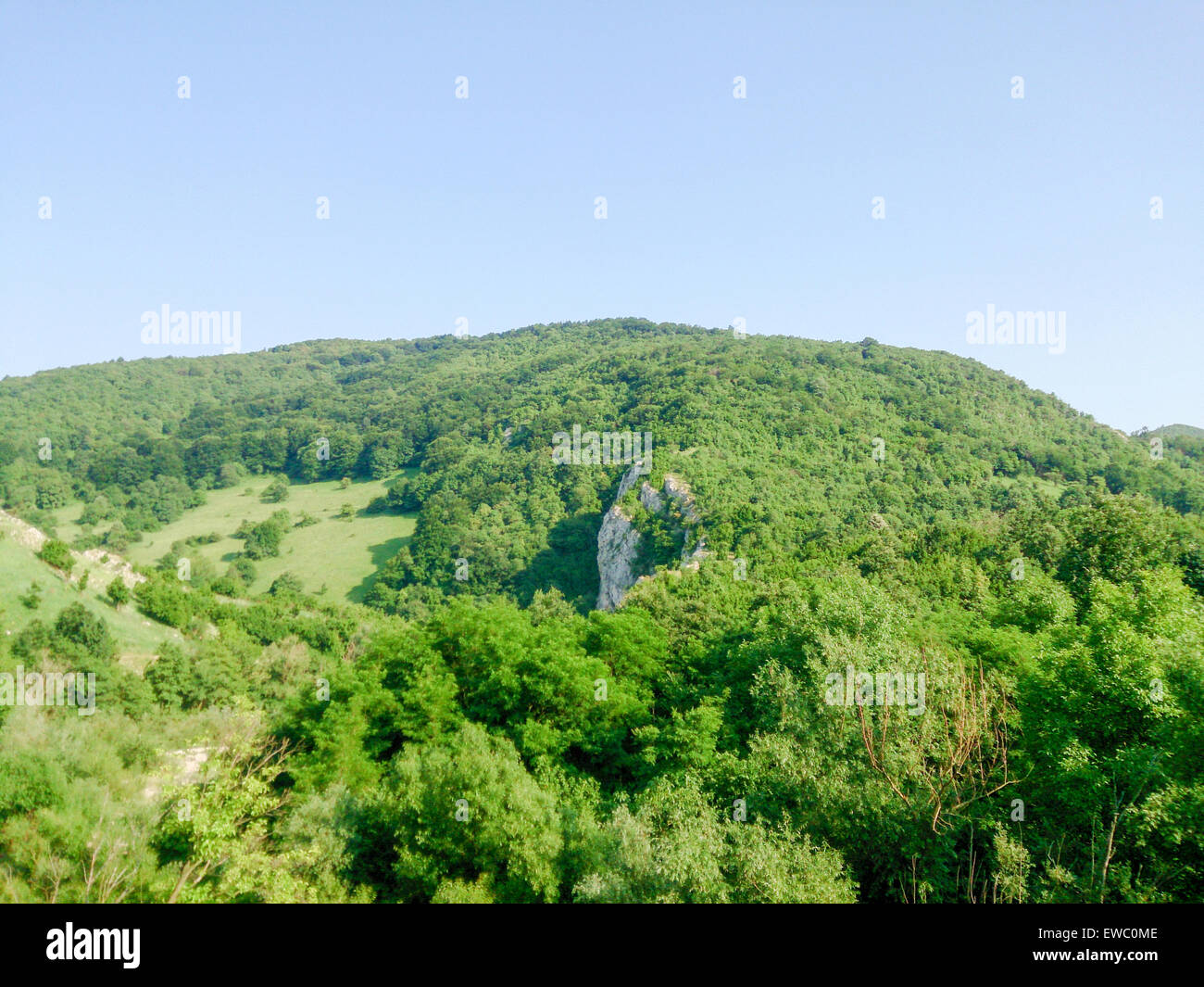 Forest in the mountains. Mountains landscape under clear daily sky with no clouds. Cheile Nerei-Beusnita National Park, Romania, Stock Photo