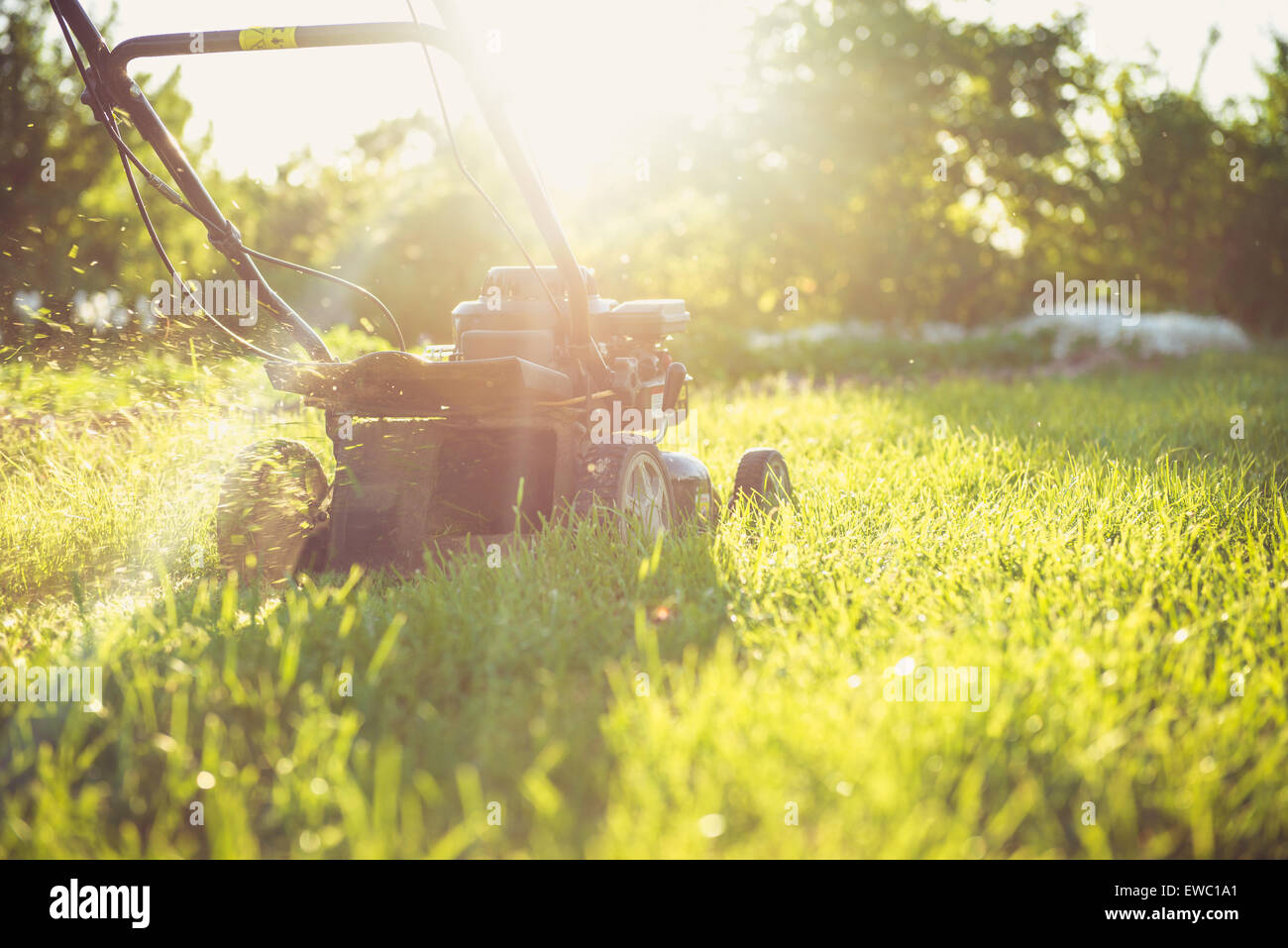 Photo of a young man mowing the grass during the beautiful evening. Stock Photo