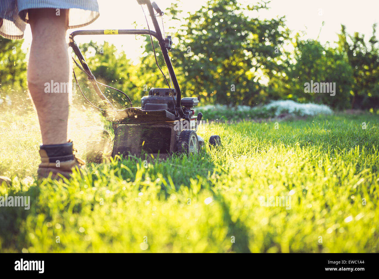 Photo of a young man mowing the grass during the beautiful evening. Stock Photo