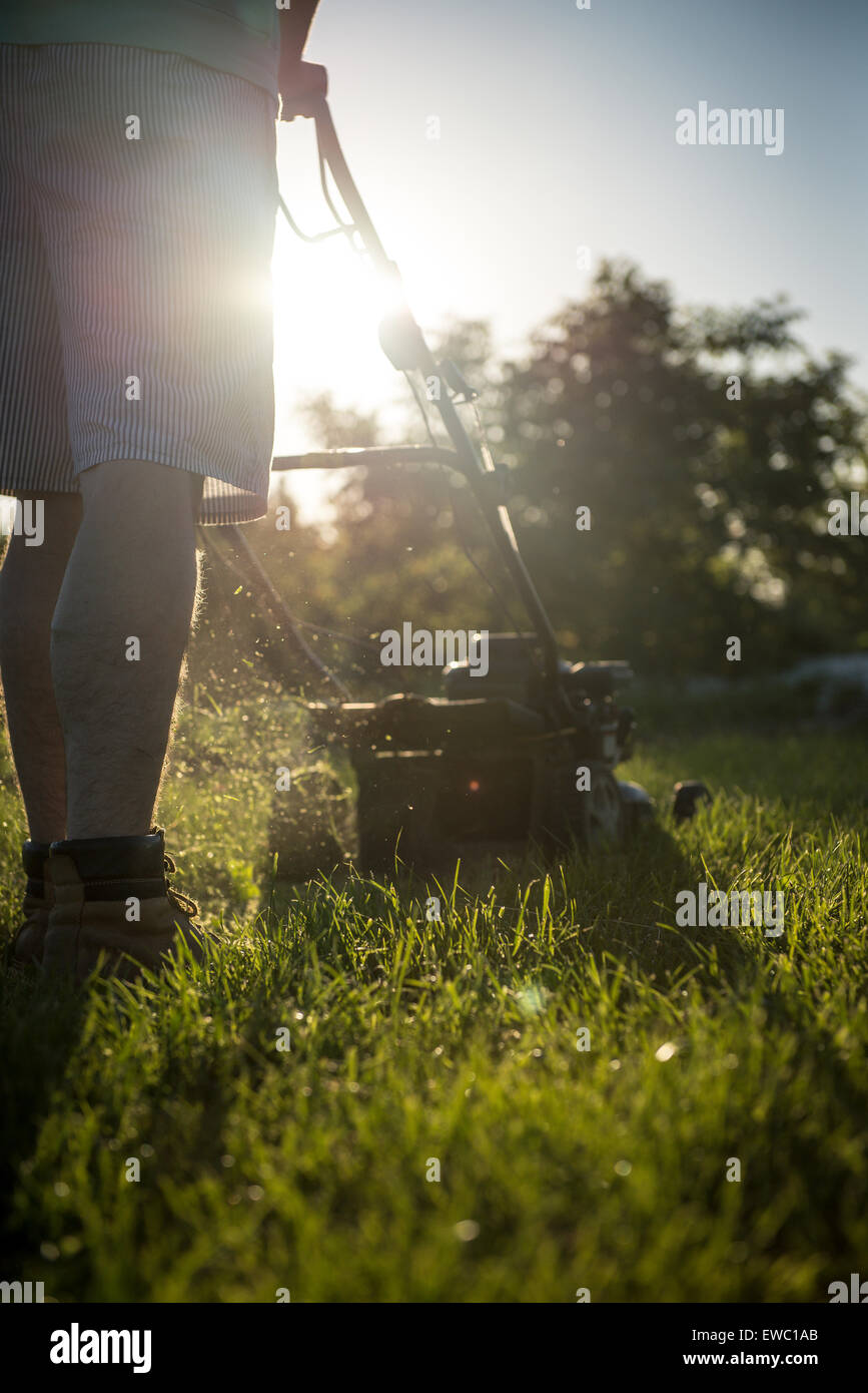 Photo of a young man mowing the grass during the beautiful evening. Stock Photo