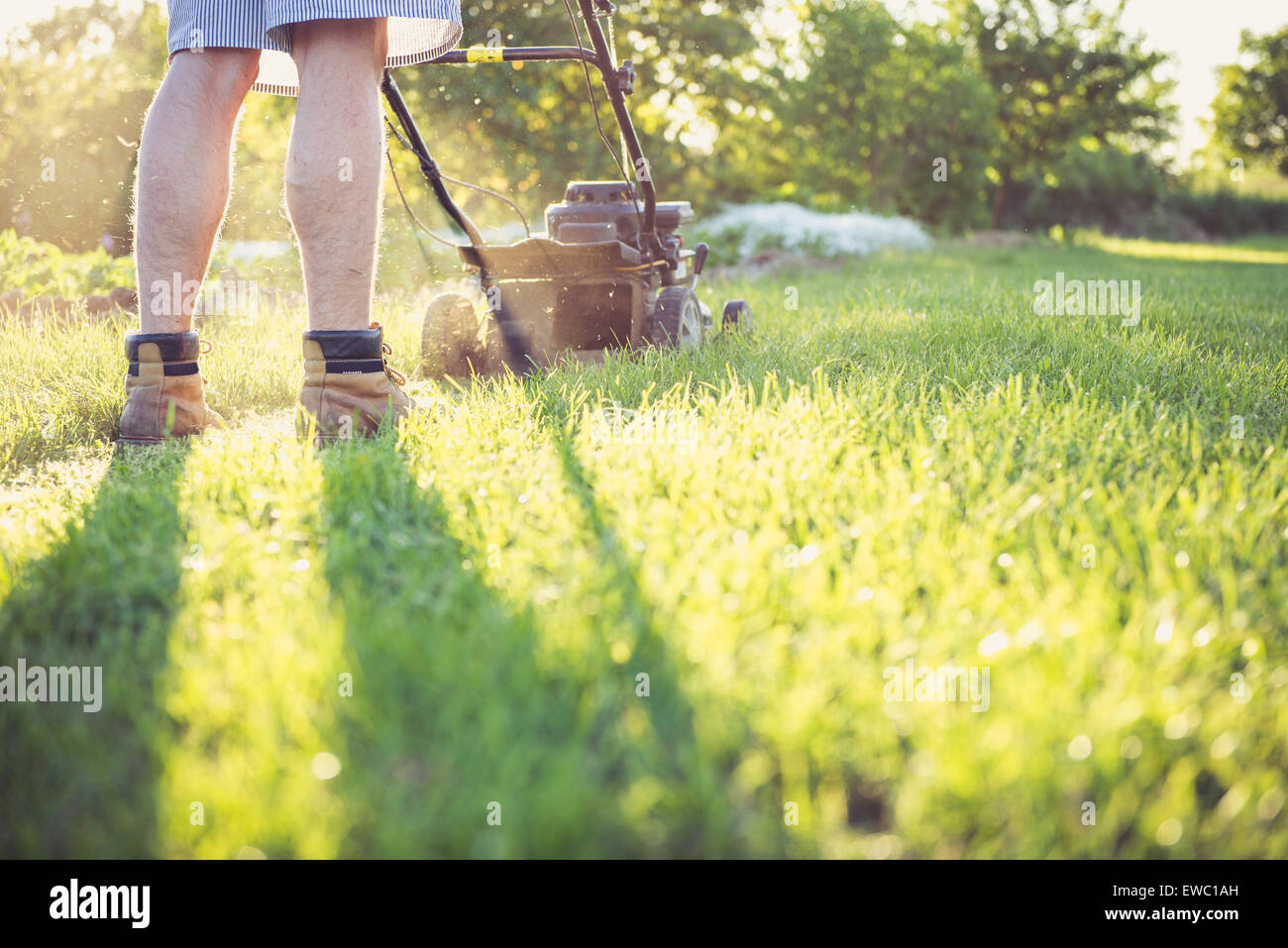 Photo of a young man mowing the grass during the beautiful evening. Stock Photo