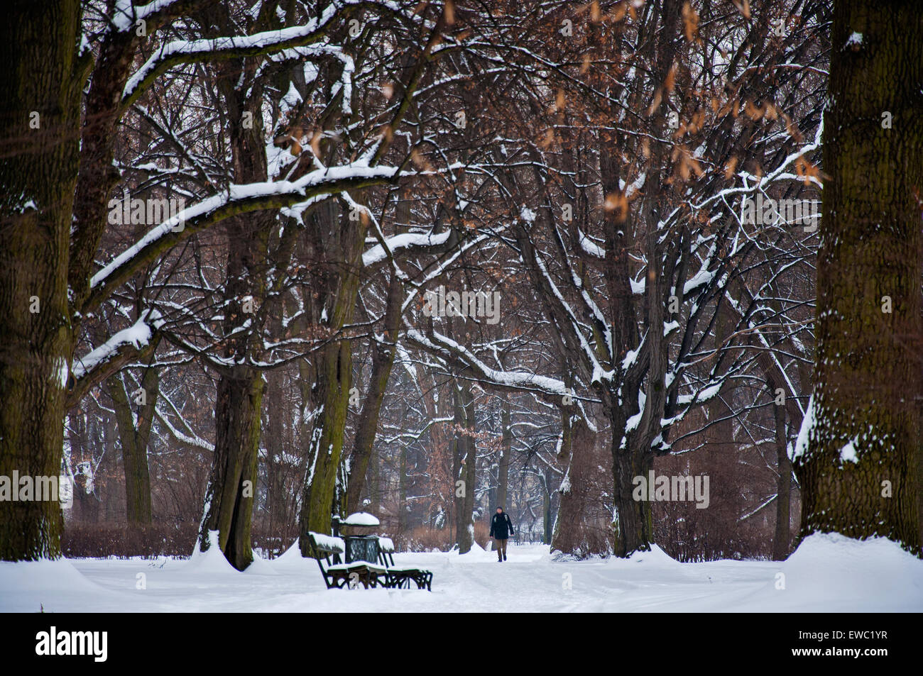 Lazienki Park in winter Stock Photo