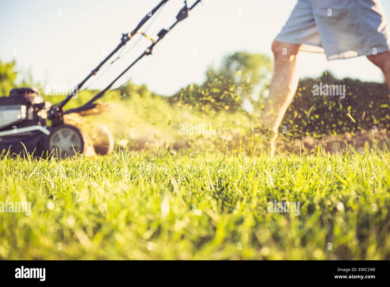 Photo of a young man mowing the grass during a beautiful evening. Stock Photo