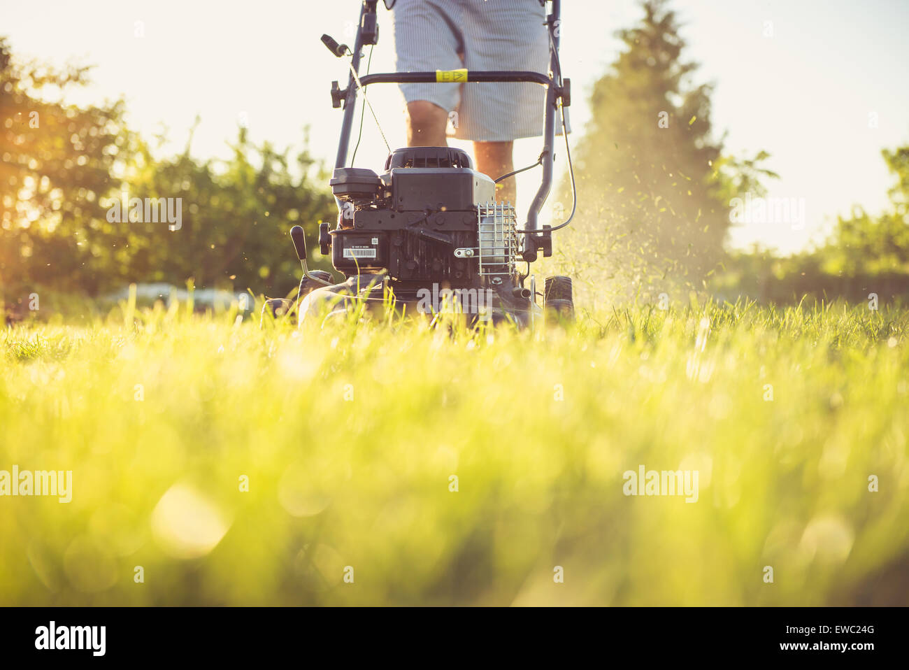 Photo of a young man mowing the grass during the beautiful evening. Stock Photo