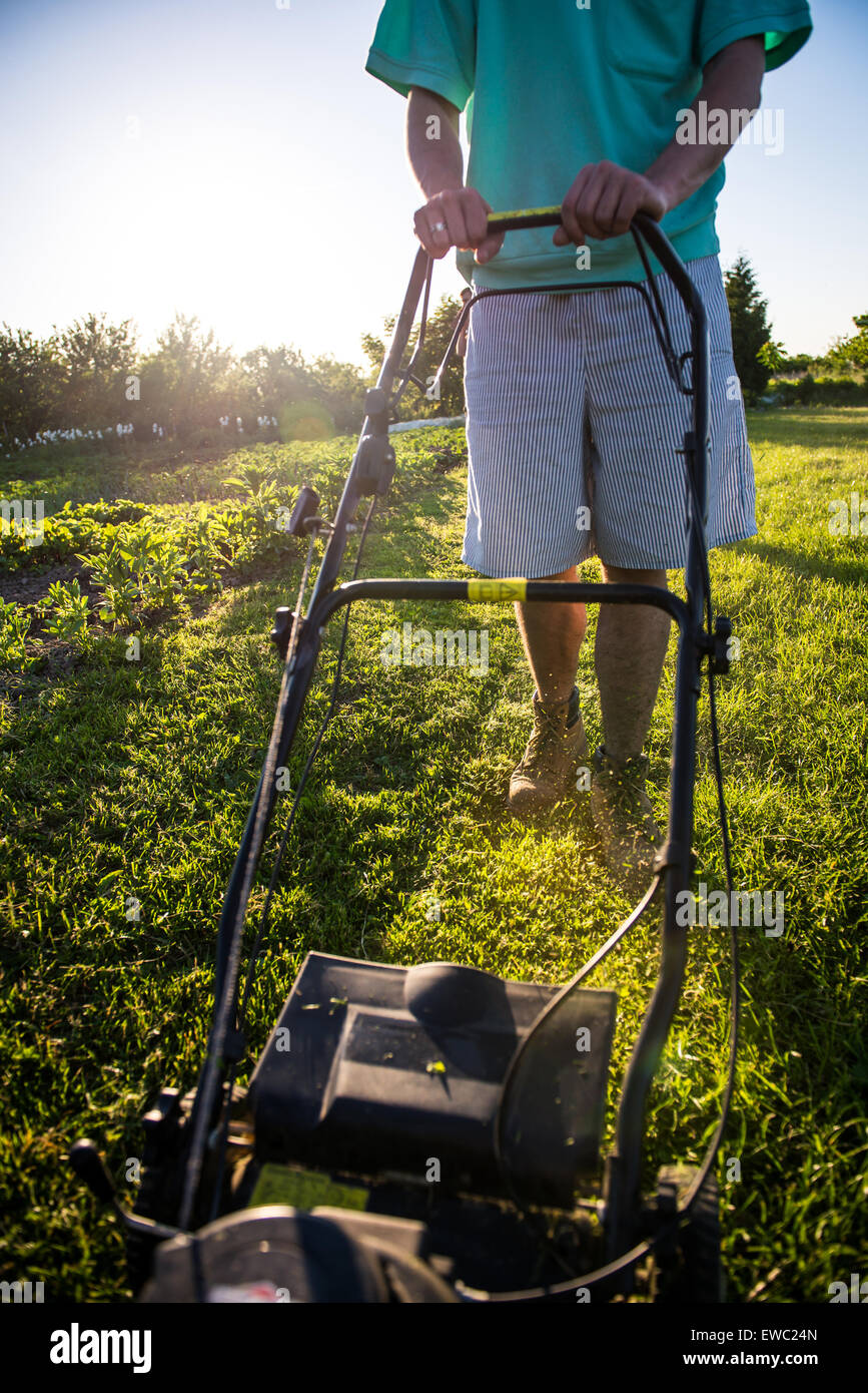 Photo of a young man mowing the grass during the beautiful evening. Stock Photo