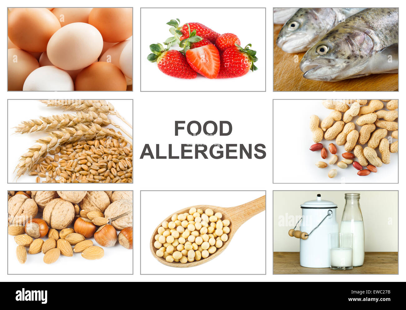Allergy food concept. Food allergens as eggs, milk, fruit, tree nuts, peanut, soy, wheat and fish. Text 'food allergens' easy to Stock Photo