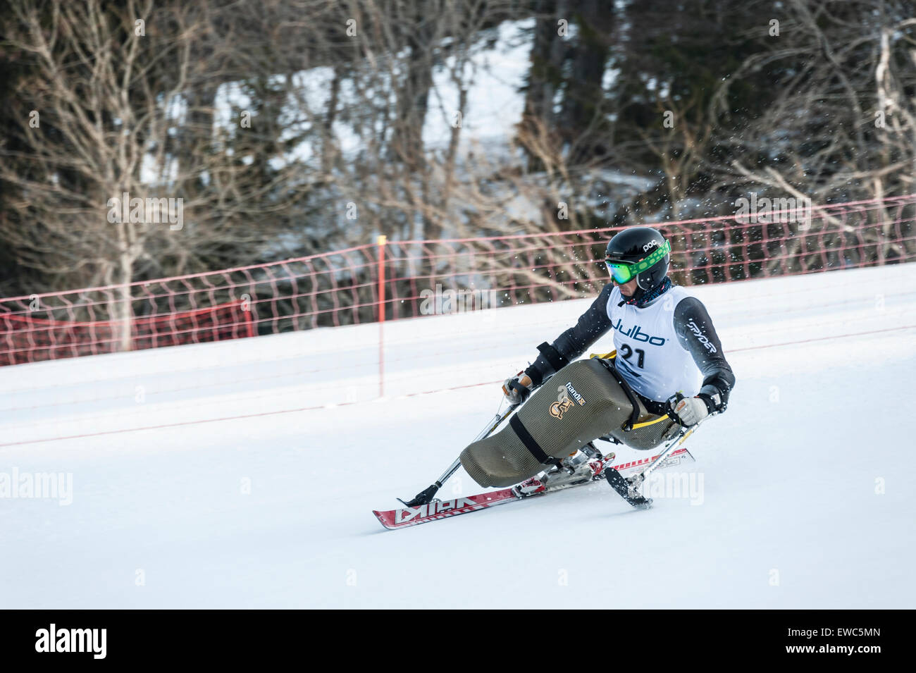 A disabled competitor using specially-adapted ski equipment, racing downhill in a giant slalom race Stock Photo