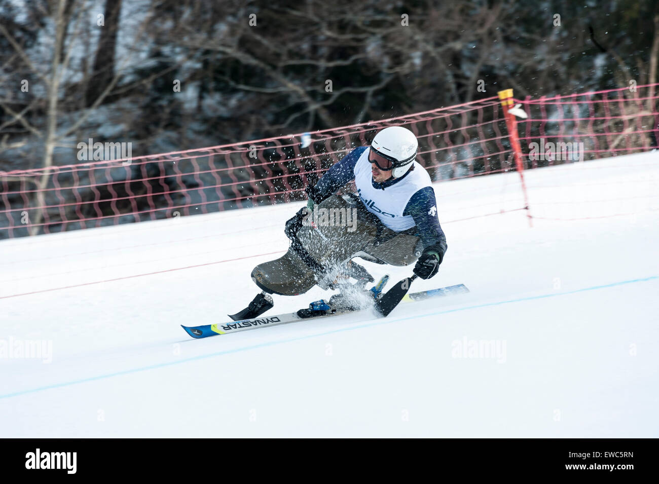Disabled skier hires stock photography and images Alamy