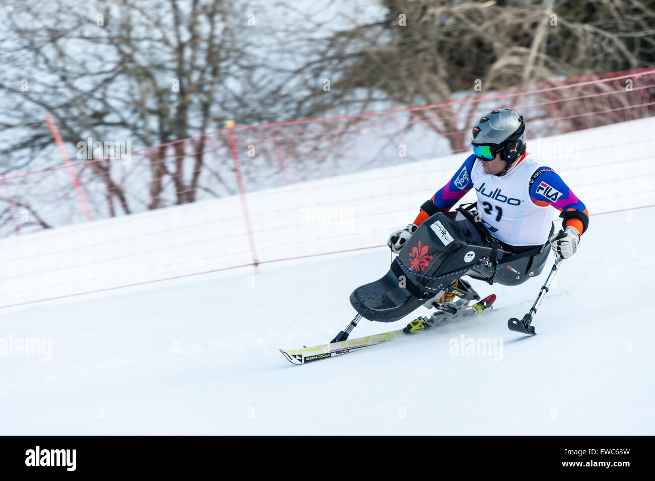 A disabled competitor using specially-adapted ski equipment, racing downhill in a giant slalom race Stock Photo