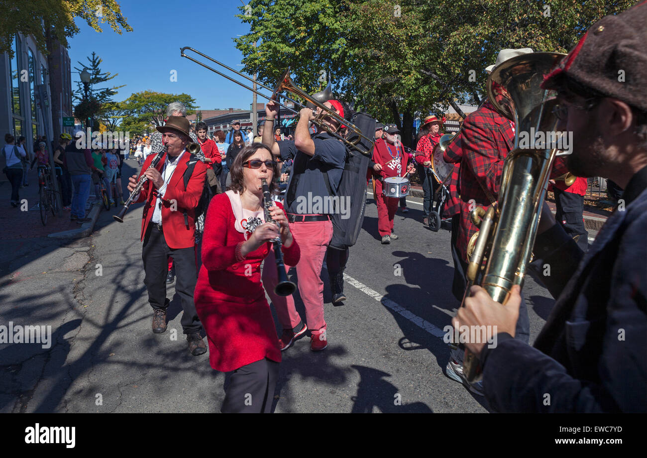The Honk Festival in Boston, Massachusetts, USA features activist