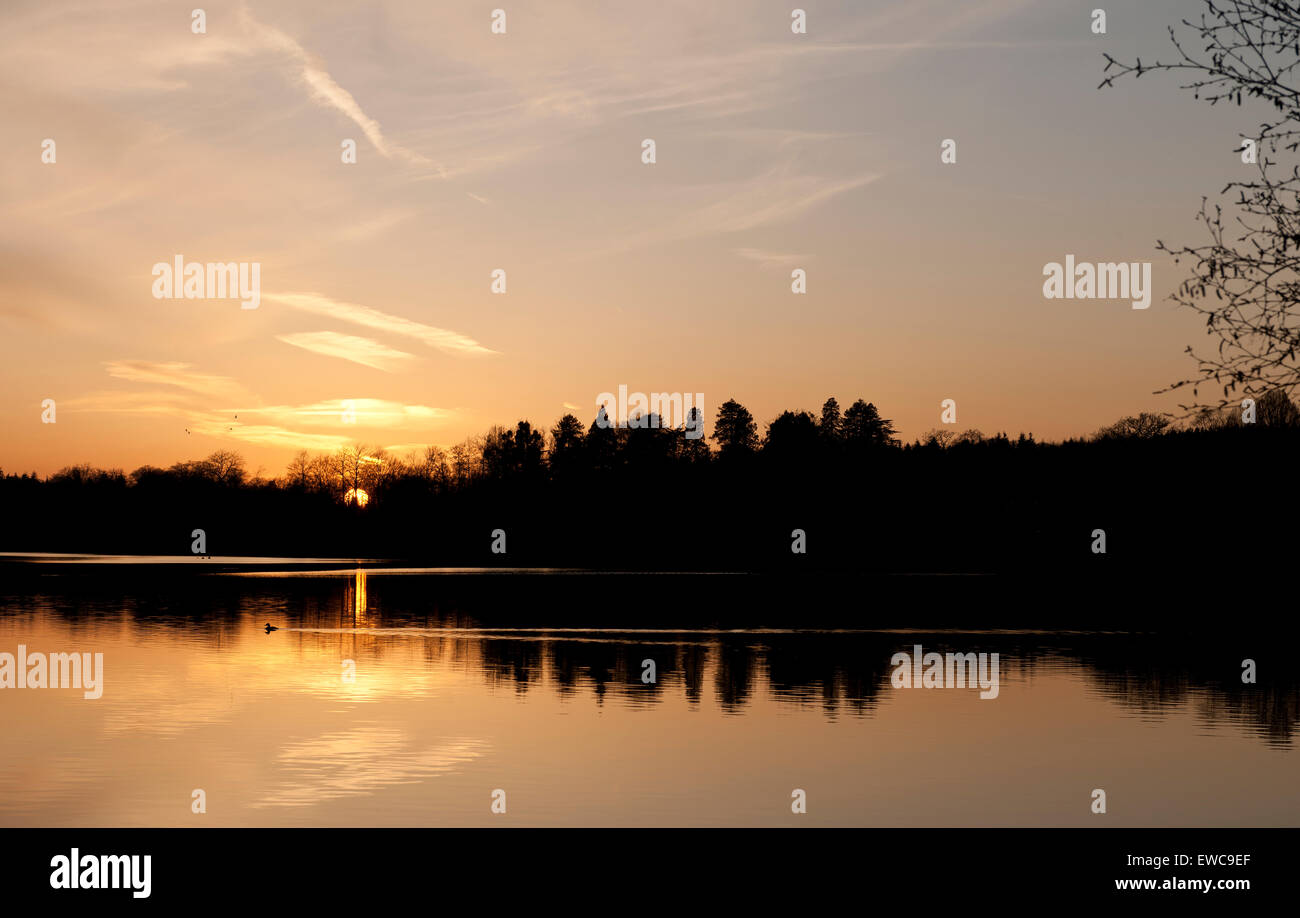 Still lake hi-res stock photography and images - Alamy