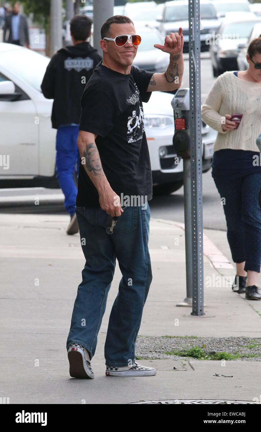 steve o vans shoes