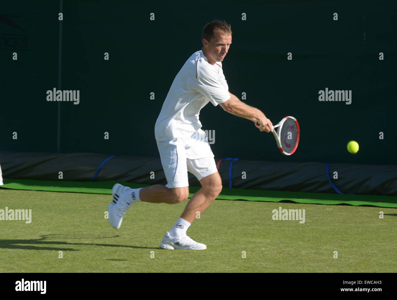 Tennis wimbledon championships 1981 hires stock photography and images