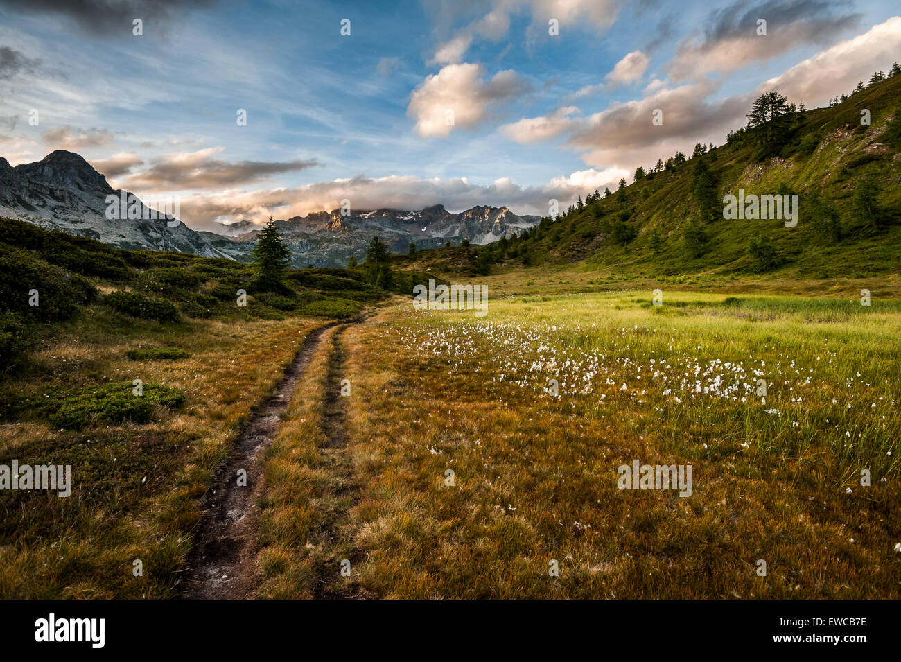 Landscpe of muontains in Devero Natural Park, Lepontine Alps. Stock Photo