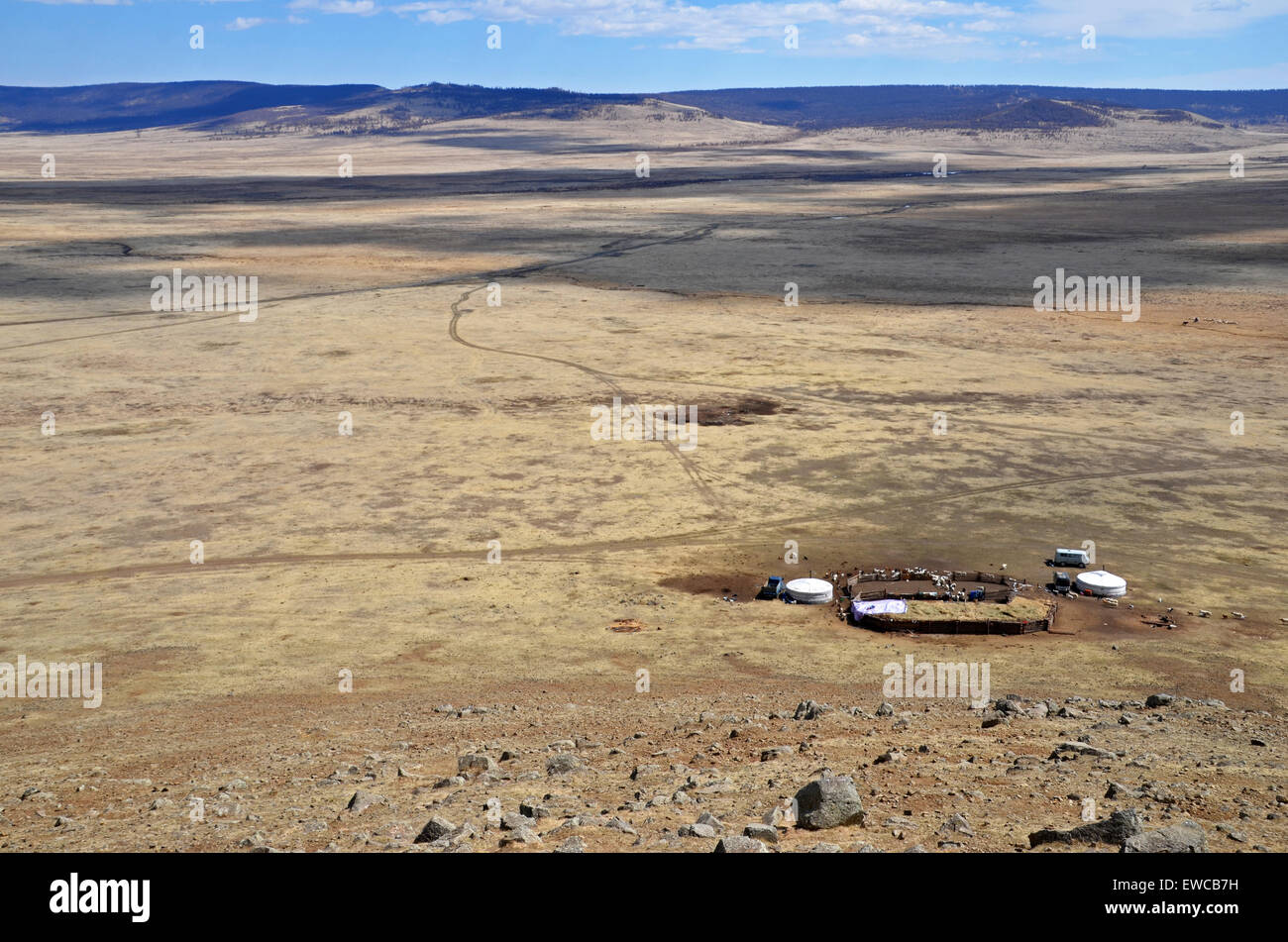 Ger camp in the Mongolian countryside Stock Photo - Alamy