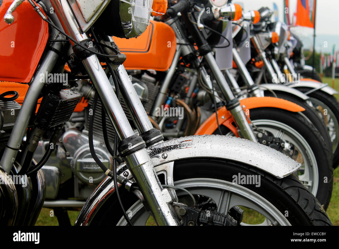 Row of motorbikes in a field Stock Photo