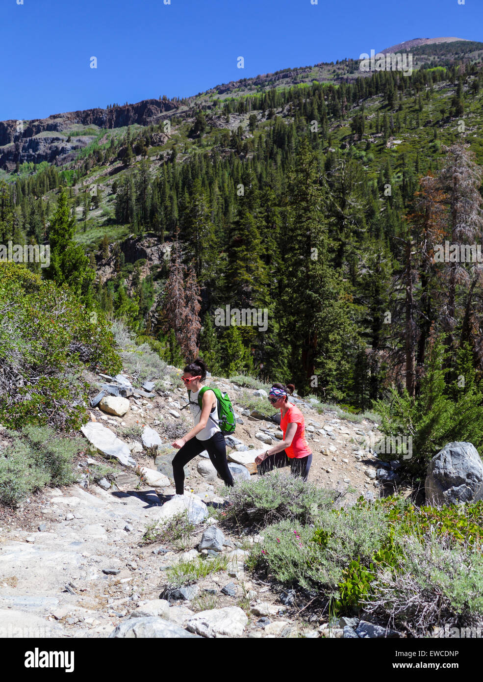 Hikers on the trail to Shadow Lake in the Eastern Sierra in Northern California Stock Photo