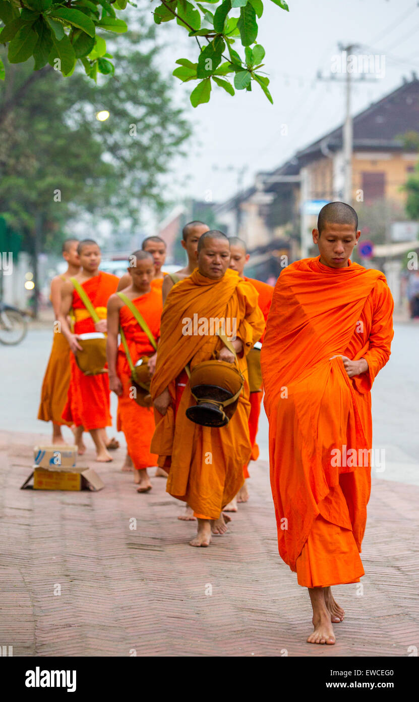 Monks during the alms giving ceremony in Luang Prabang, Laos. Stock Photo
