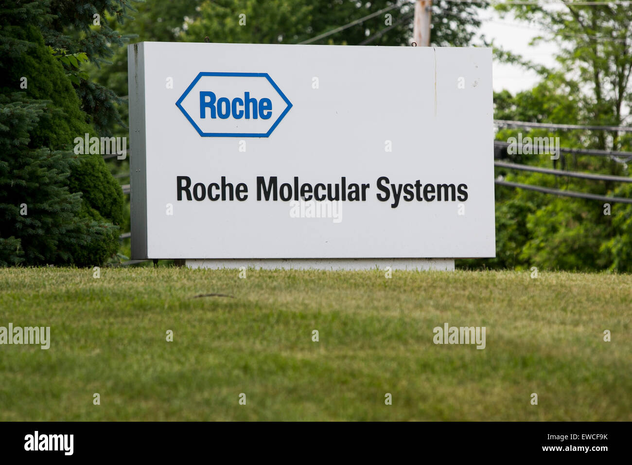 A logo sign outside of facility occupied by Roche Molecular Systems in Branchburg, New Jersey. Stock Photo