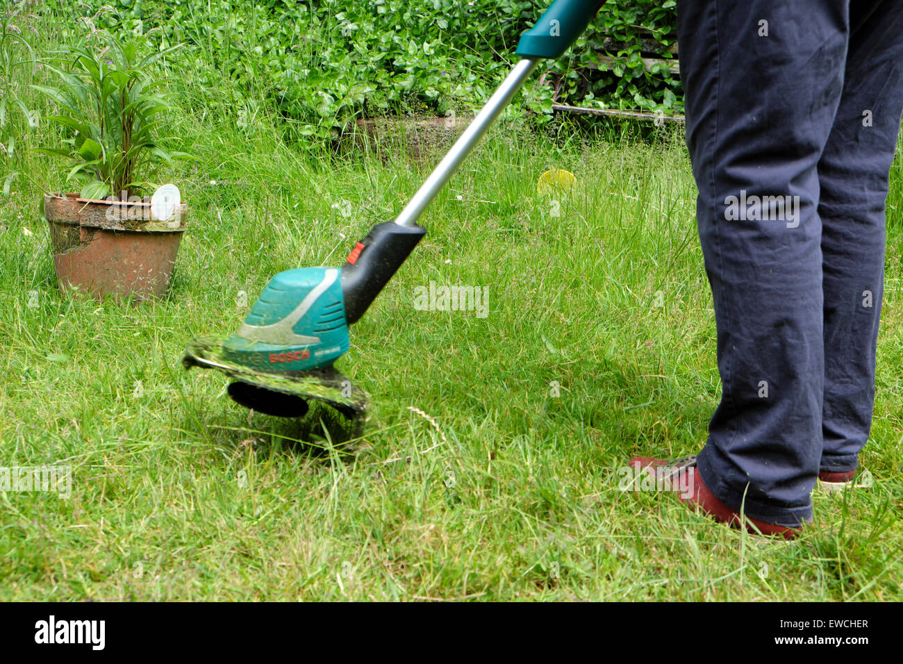Carmarthenshire, Wales, UK. 22nd June 2015. A woman uses a strimmer to cut the grass in an overgrown garden on a fine afternoon in rural West Wales.  Tuesday is forecast to be a day of full sunshine in a week of unsettled weather in Carmarthenshire Wales..   Kathy deWitt/AlamyLiveNews Stock Photo