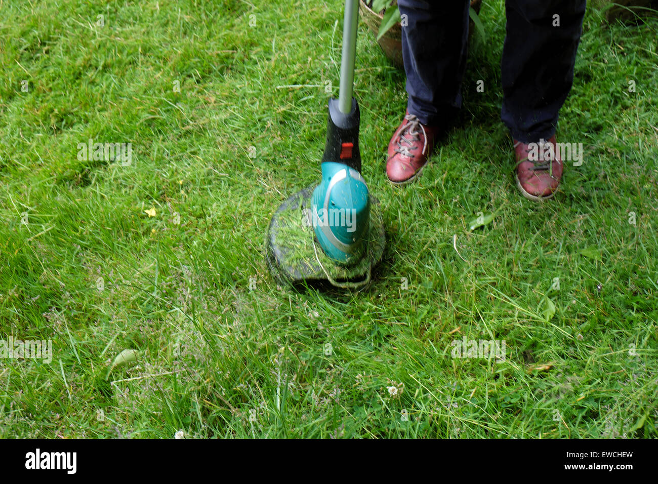 Carmarthenshire, Wales, UK. 22nd June 2015. A woman using a strimmer to cut the grass in an overgrown garden on a fine afternoon in rural Carmarthenshire West Wales UK  Kathy deWitt/AlamyLiveNews Stock Photo