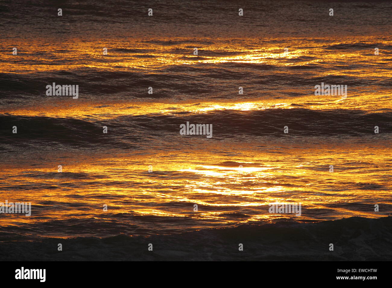 A golden glow baths early morning swell off Alexandra Headland on the Sunshine Coast of Queensland, Australia. Stock Photo