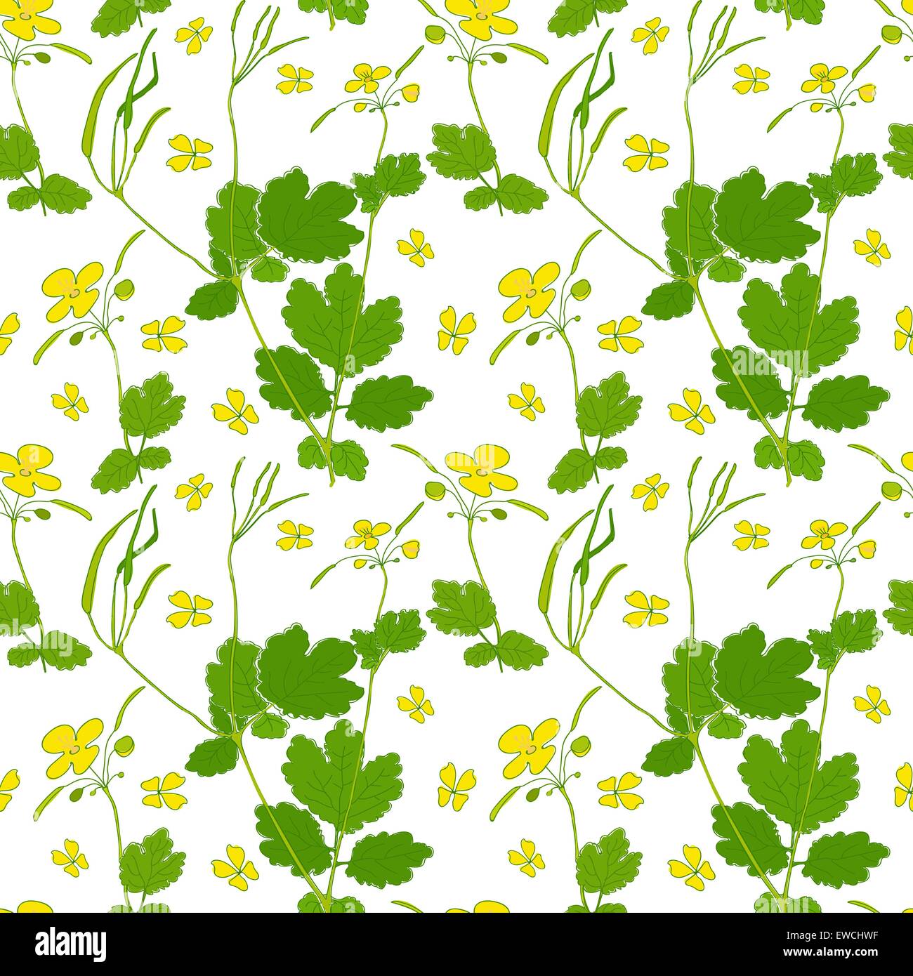 Flowers Colorful Seamless Pattern Background Vector Stock Vector Image ...