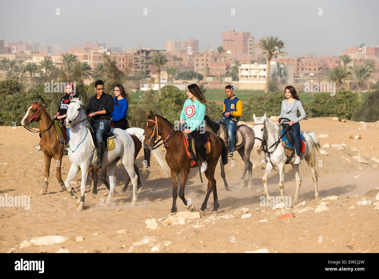 Arabian Horse. Group of teens riding in the desert. Kairo, Egypt Stock Photo