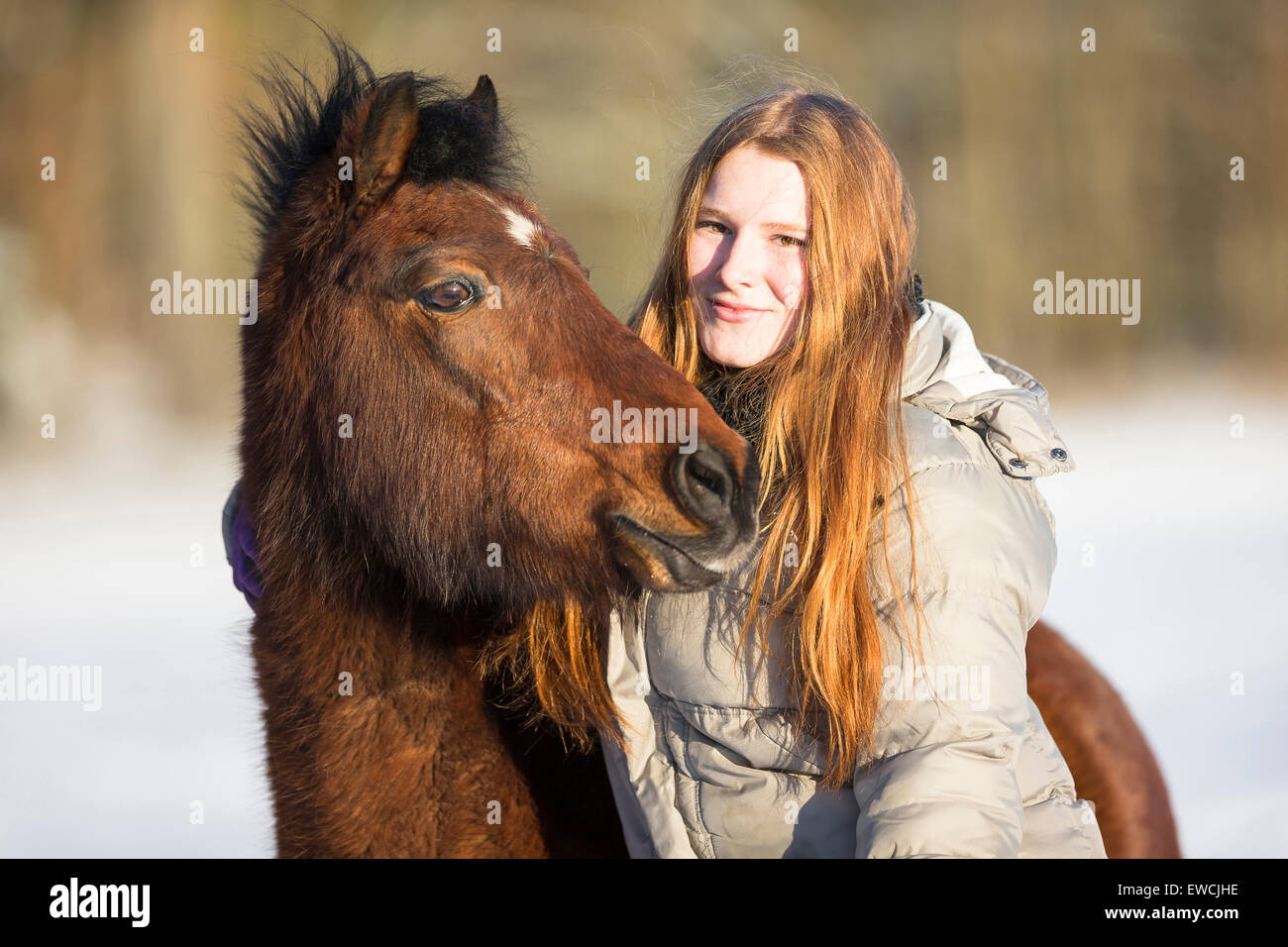 Welsh Pony (Section B). Girl cuddling up to a bay horse on a snowy pasture. Germany Stock Photo